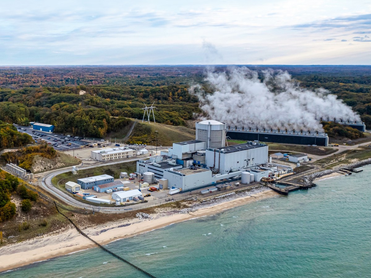 Palisades SMR Overview